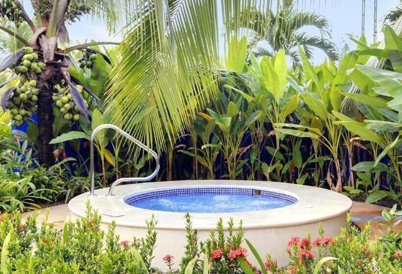 Alma Del Pacifico Beach Hotel And Spa