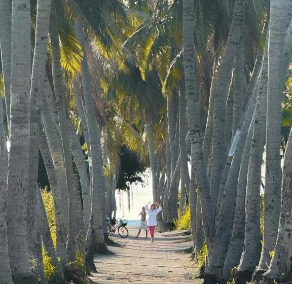 هتل Blue Coral Thoddoo