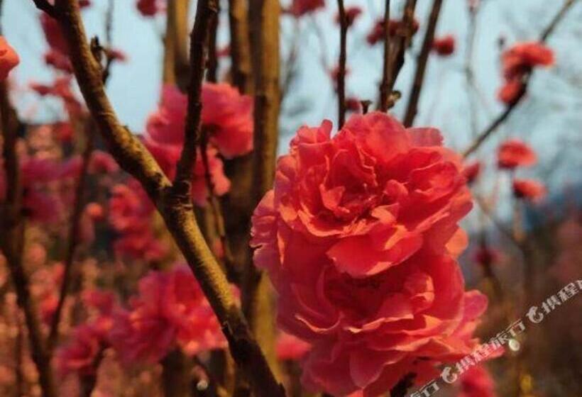 בית מלון כפרי Xana Lite Ganzi Luding Yanan Road