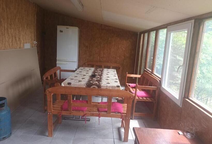 Pensionat Casa Hermina