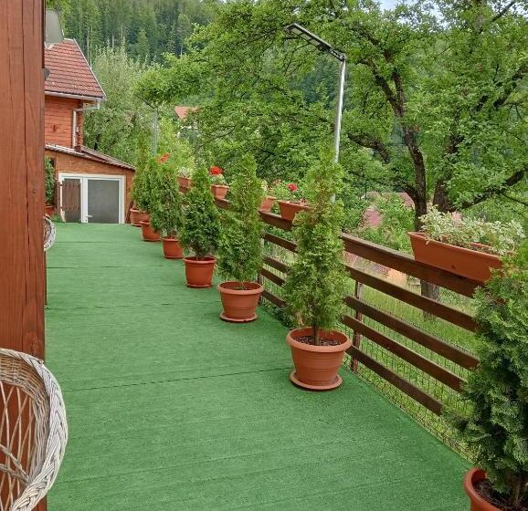 Pensionat Casa Hermina