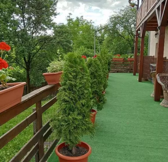 Pansiyon Casa Hermina