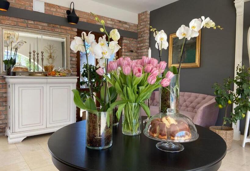 هتل Tagoo Vama Veche