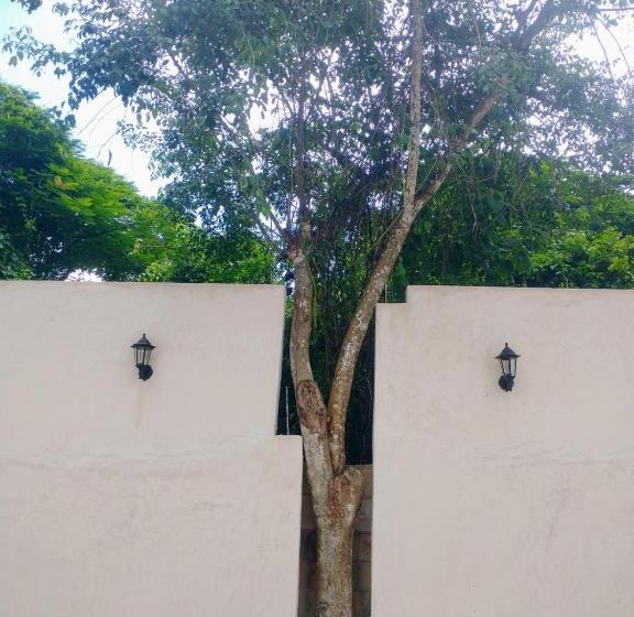 Pansiyon Habitacion Ixcel En Casa Nicte Há