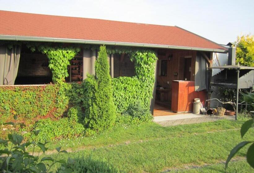 بنسيون Penzion Bulhary S Vinným Sklepem