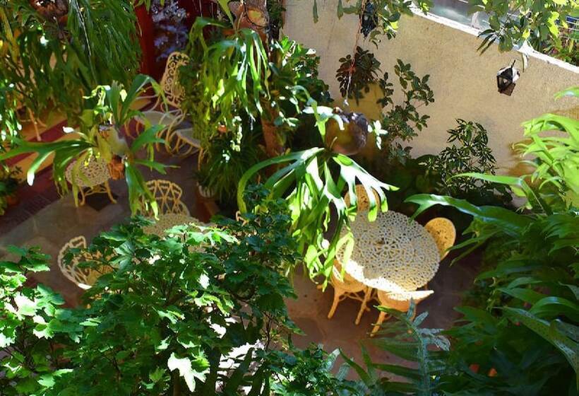 هتل Hostal Casa D Pepe