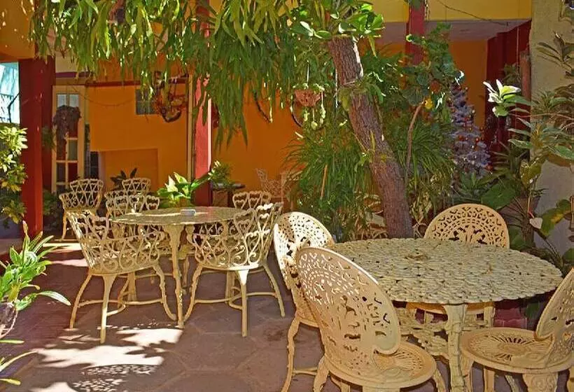 ホテル Hostal Casa D Pepe