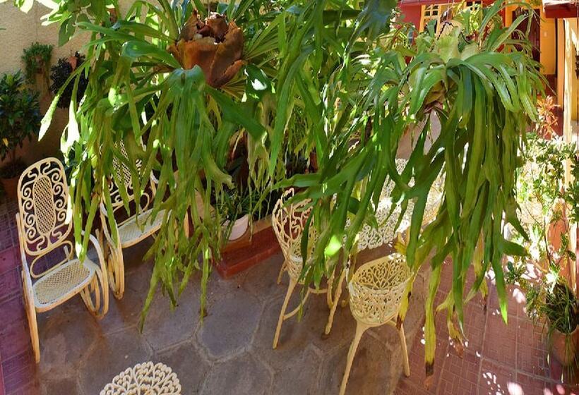 هتل Hostal Casa D Pepe