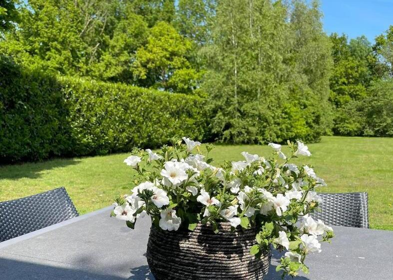 تختخواب و صبحانه Prinshaerlyck Overnachten