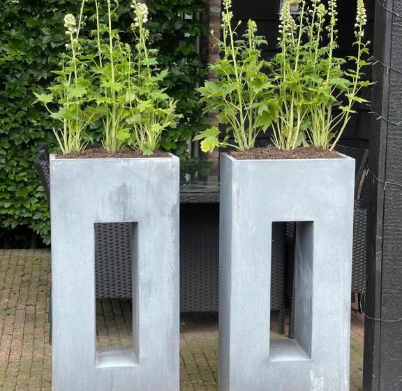 تختخواب و صبحانه Prinshaerlyck Overnachten