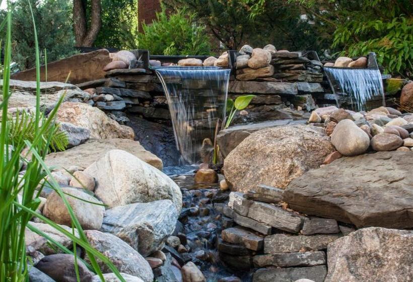 Hotel University Of Alberta