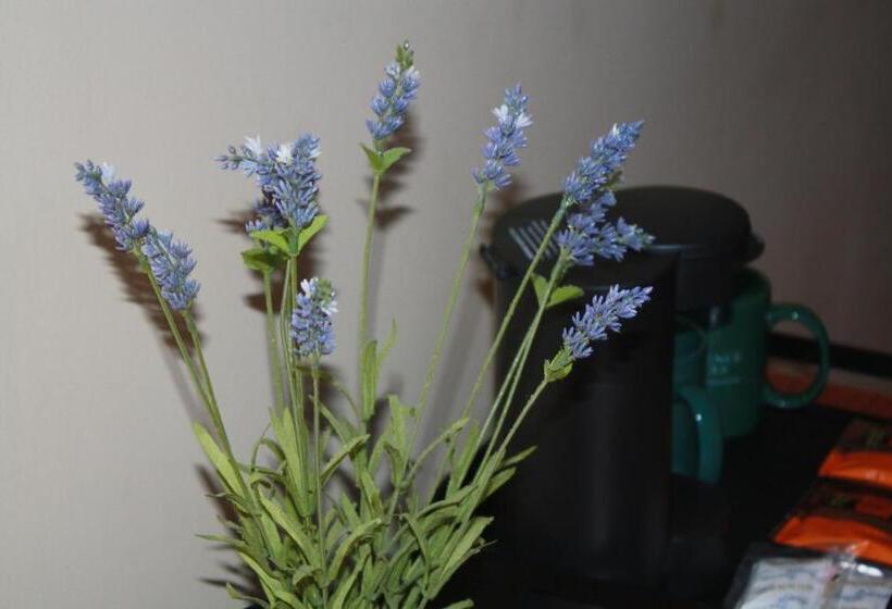 Hotel University Of Alberta