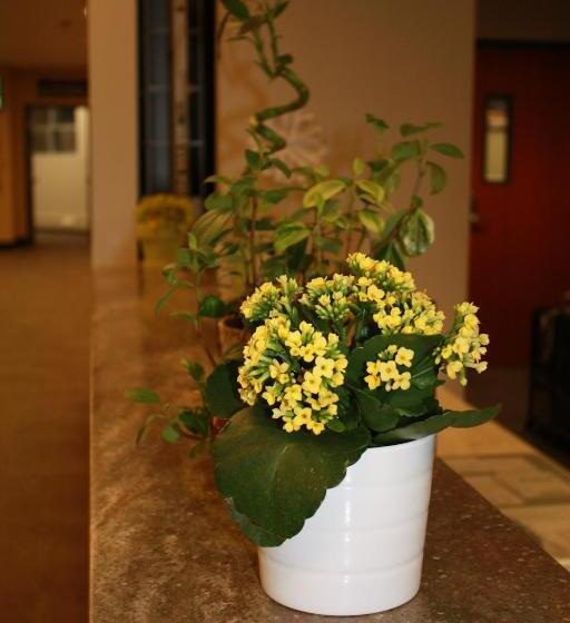 Hotel University Of Alberta