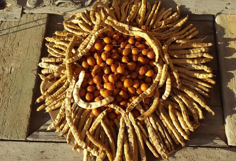 Wara Hotel & Experience