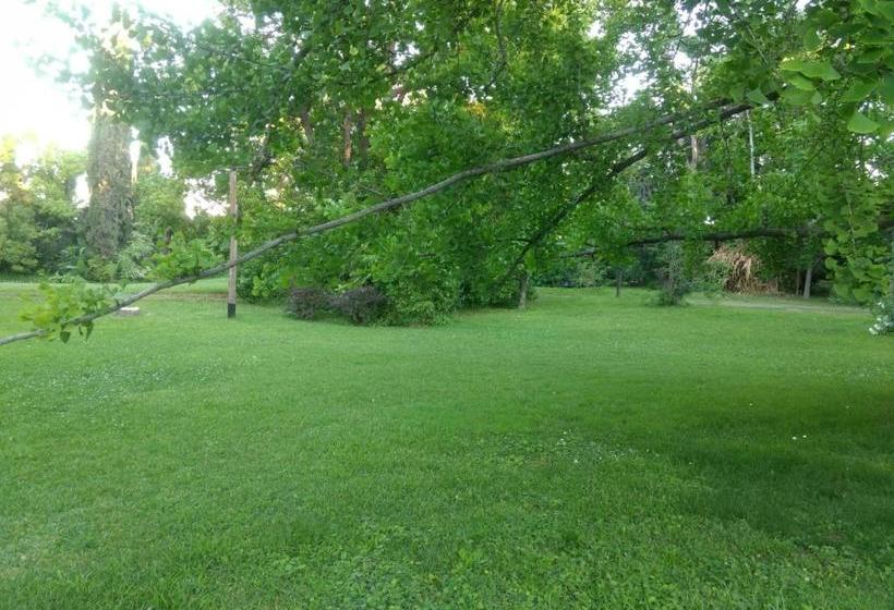 Bed & Breakfast Casco El Trapiche