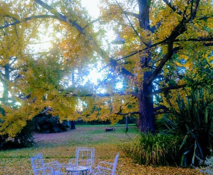 Bed & Breakfast Casco El Trapiche