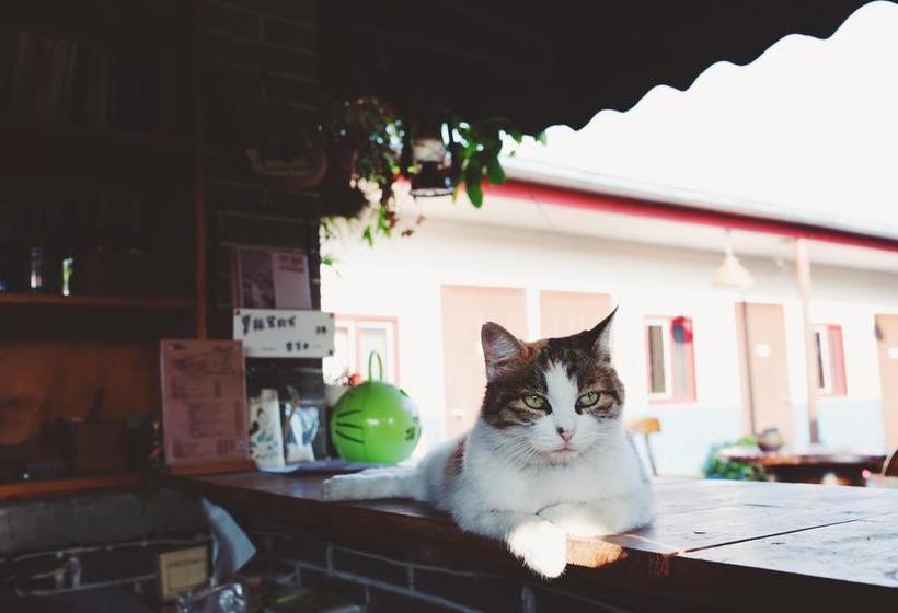 Chengdu Dreams Travel International Youth Hostel