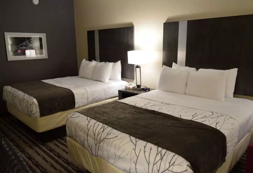 ホテル Best Western Boerne Inn & Suites
