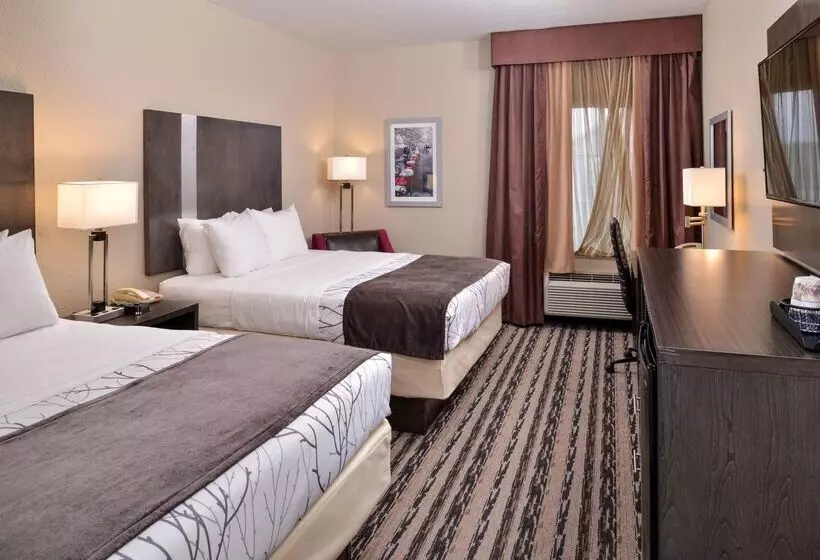 ホテル Best Western Boerne Inn & Suites