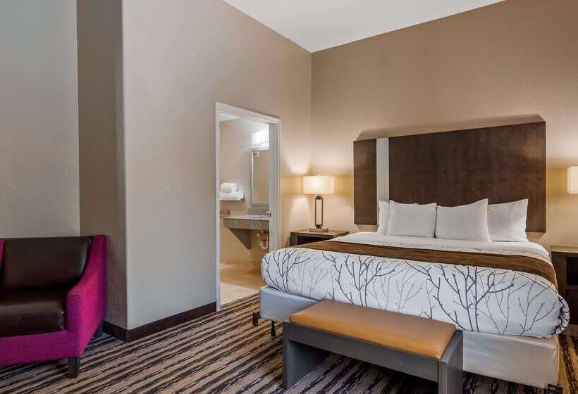 בית מלון כפרי Best Western Boerne Inn & Suites