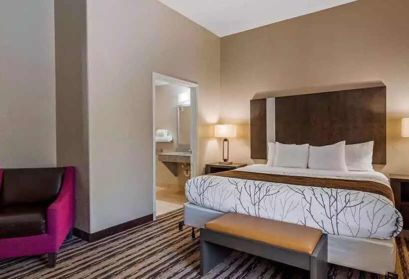 ホテル Best Western Boerne Inn & Suites