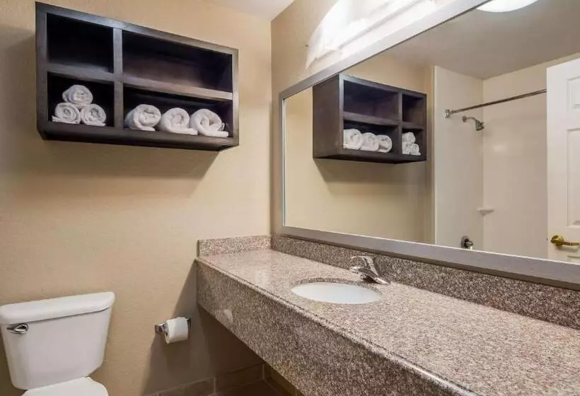ホテル Best Western Boerne Inn & Suites