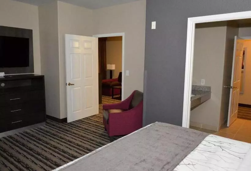 ホテル Best Western Boerne Inn & Suites