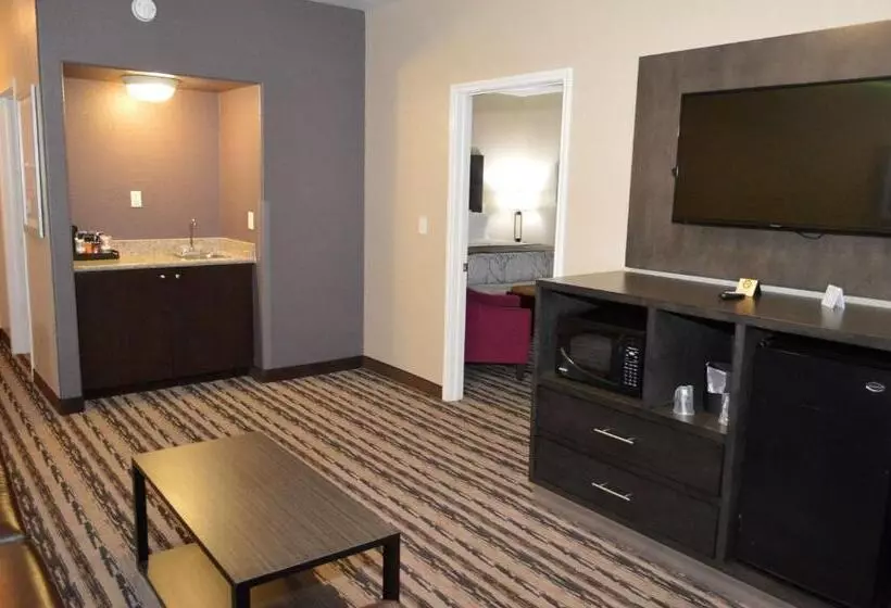 ホテル Best Western Boerne Inn & Suites
