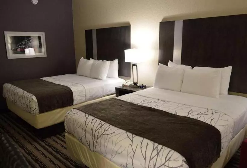ホテル Best Western Boerne Inn & Suites