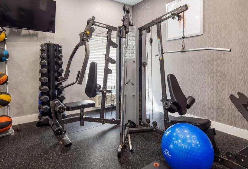 בית מלון כפרי Best Western Boerne Inn & Suites