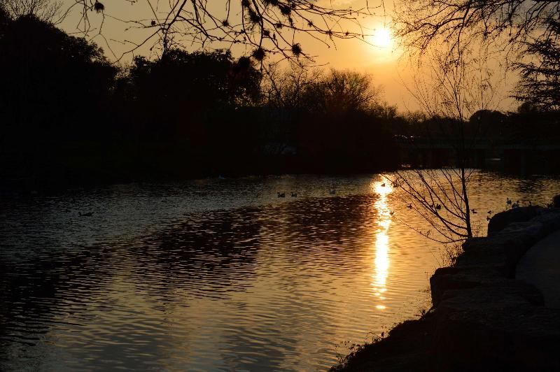 בית מלון כפרי Best Western Boerne Inn & Suites