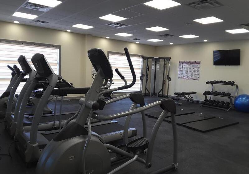 בית מלון כפרי Stars Inn