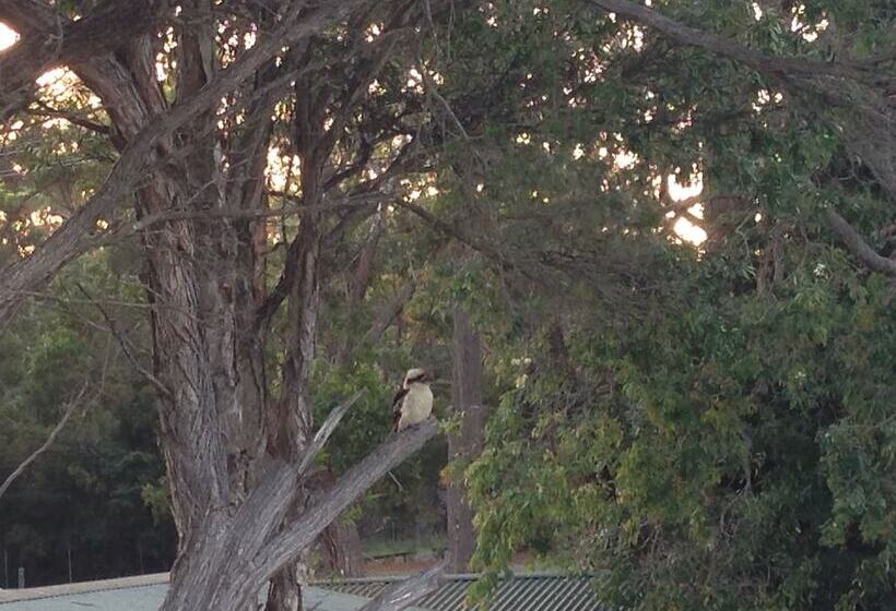 住宿加早餐 Jervis Bay Mariners