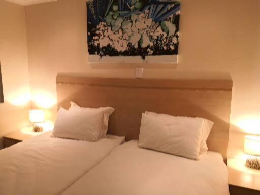 بنسيون 17 On 13th