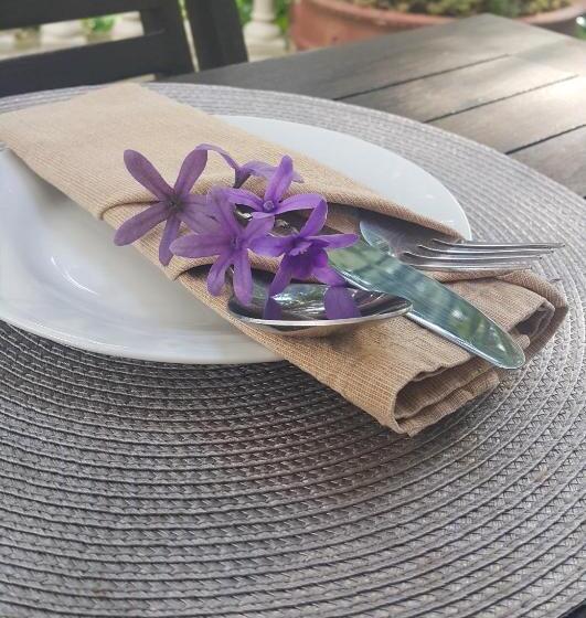 Пансион Ibis House