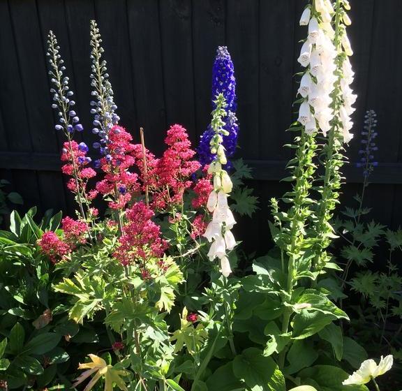 Garden Bed And Breakfast