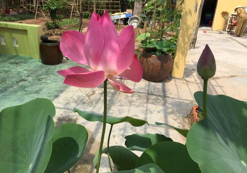 تختخواب و صبحانه Tropical Garden Phu Quoc