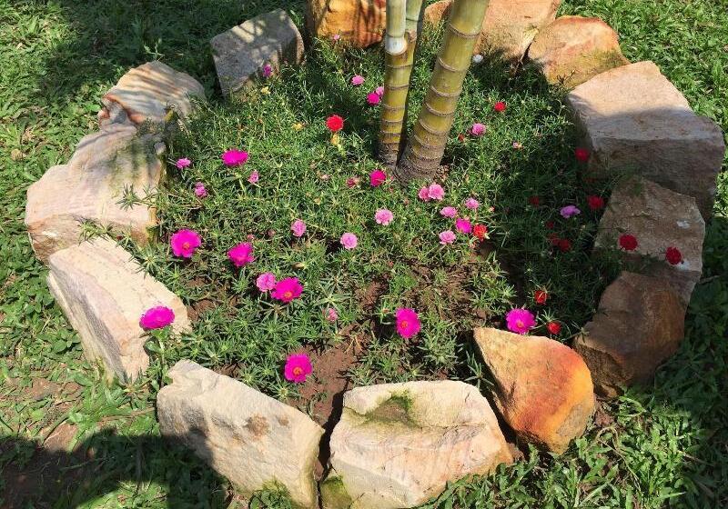 تختخواب و صبحانه Tropical Garden Phu Quoc