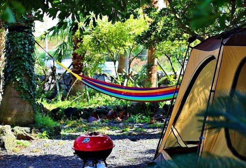 Luna In Jeju Pension