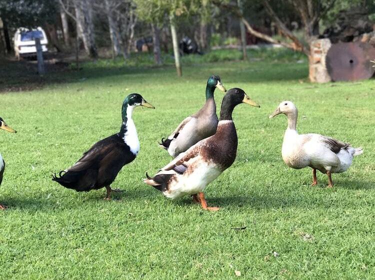 Pump Hill Farm Cottages