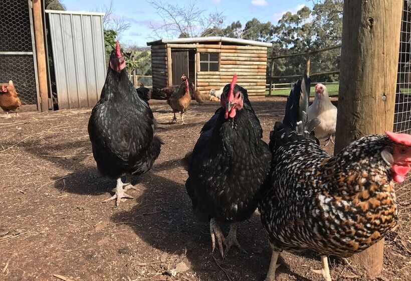Pump Hill Farm Cottages