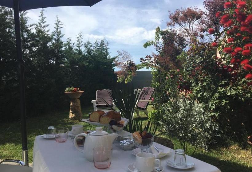 Er.zo Summer Studios