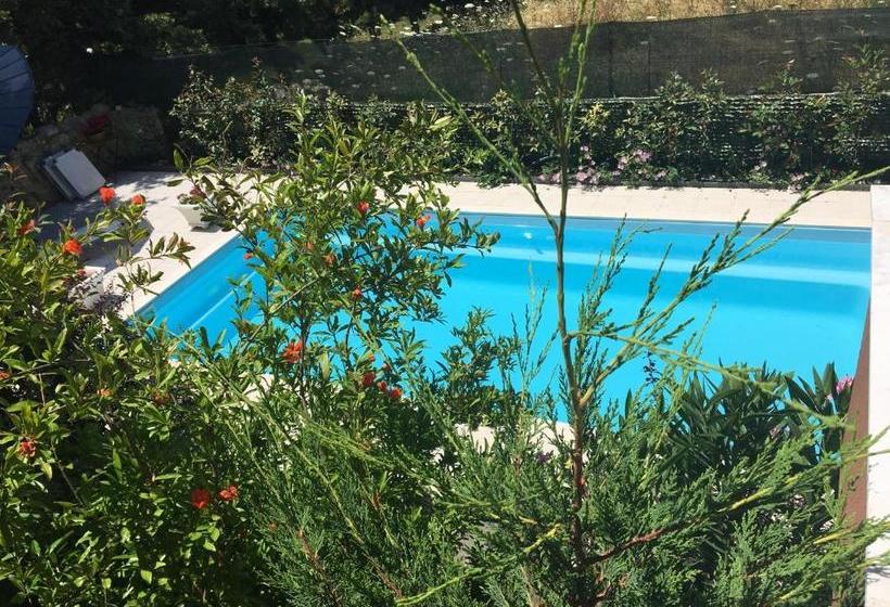 Er.zo Summer Studios