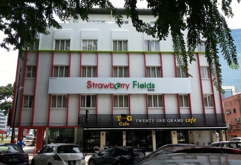 בית מלון כפרי Strawberry Fields