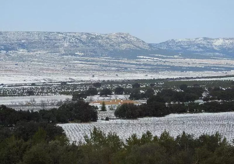 Finca El Romeral