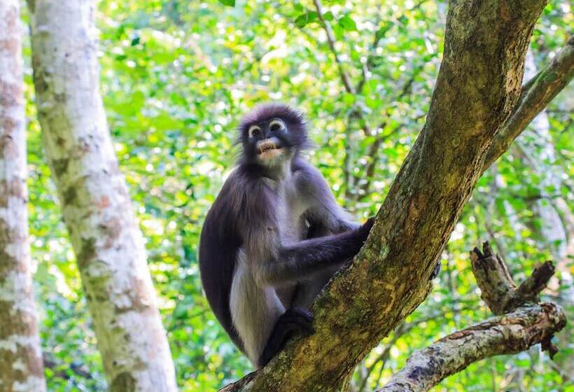 酒店 Anurak Community Lodge