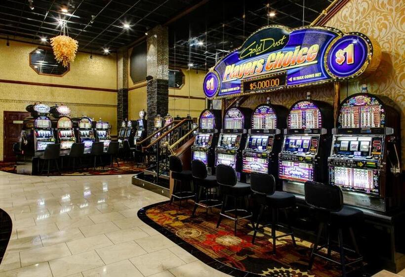 The Hotel By Gold Dust