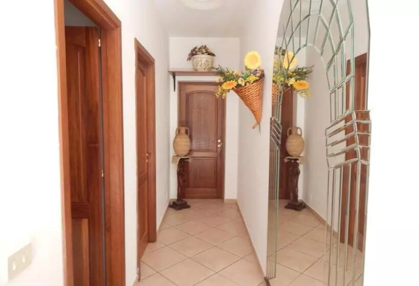 Casa Papiro