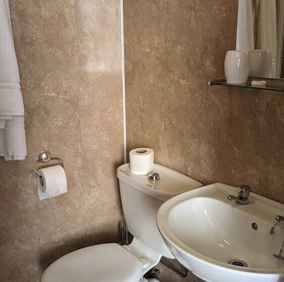 فندق فئة نجمة واحدة The King S Arms