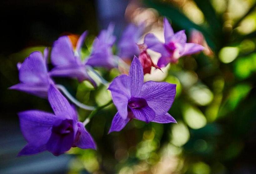 Отель Matra Bali Guest House